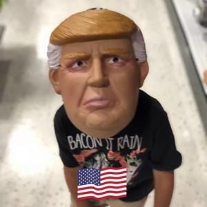 Meet your Posher, Robert